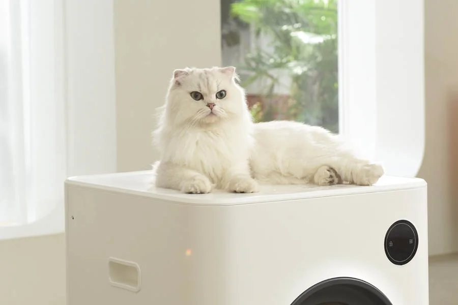 best automatic litter box for multiple cats